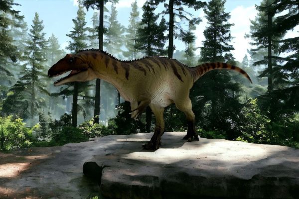 Allosaurus Figure by PNSO.