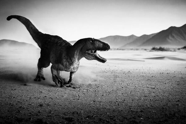 Asiatyrannus xui: El Sorprendente Descubrimiento en Asia