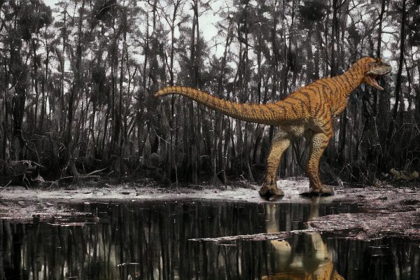 Carnotaurus Figure by PNSO.