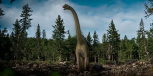 Brachiosaurus Figure by Safari Ltd.