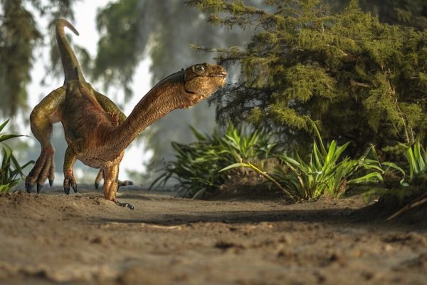 Chilesaurus Figure by PAPO.