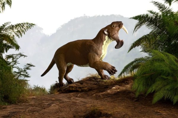 Thylacosmilus: El ‘Tigre’ Marsupial con Dientes de Sable