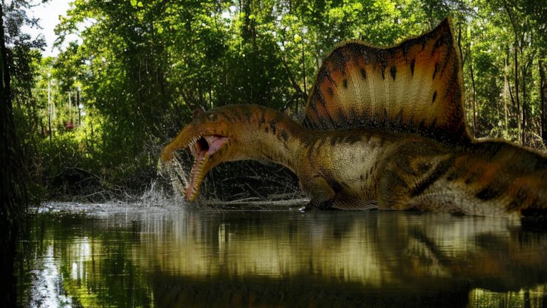 Spinosaurus: El Gigante que Gobernó Tanto el Agua como la Tierra