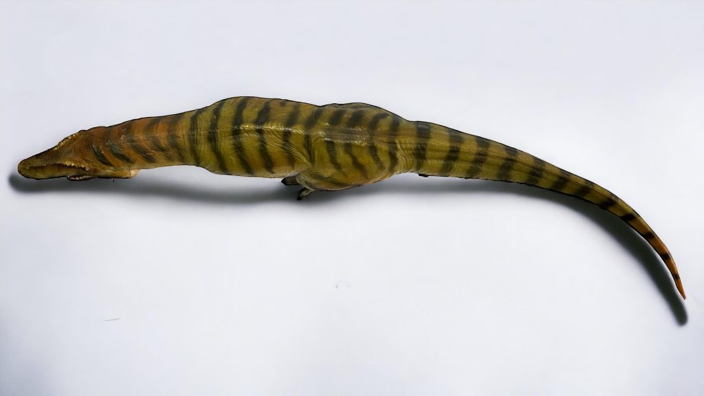 Carcharodontosaurus Figure by PNSO.