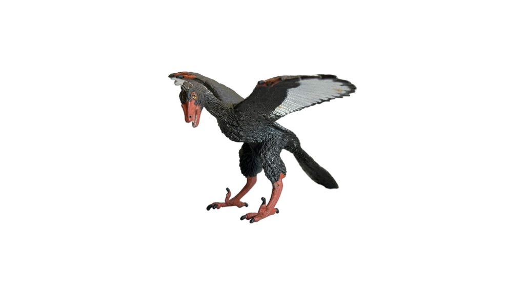 Archaeopteryx Figure by Safari Ltd.