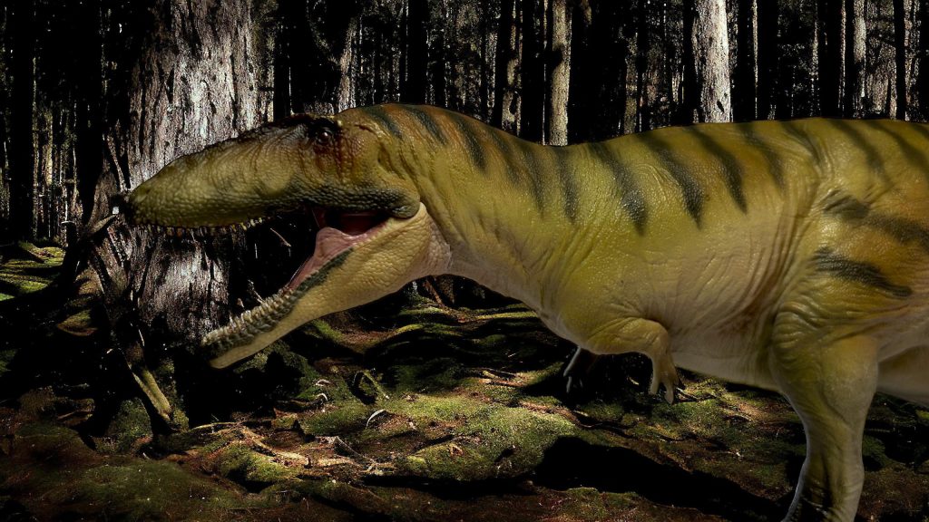 Carcharodontosaurus Figure by PNSO.
