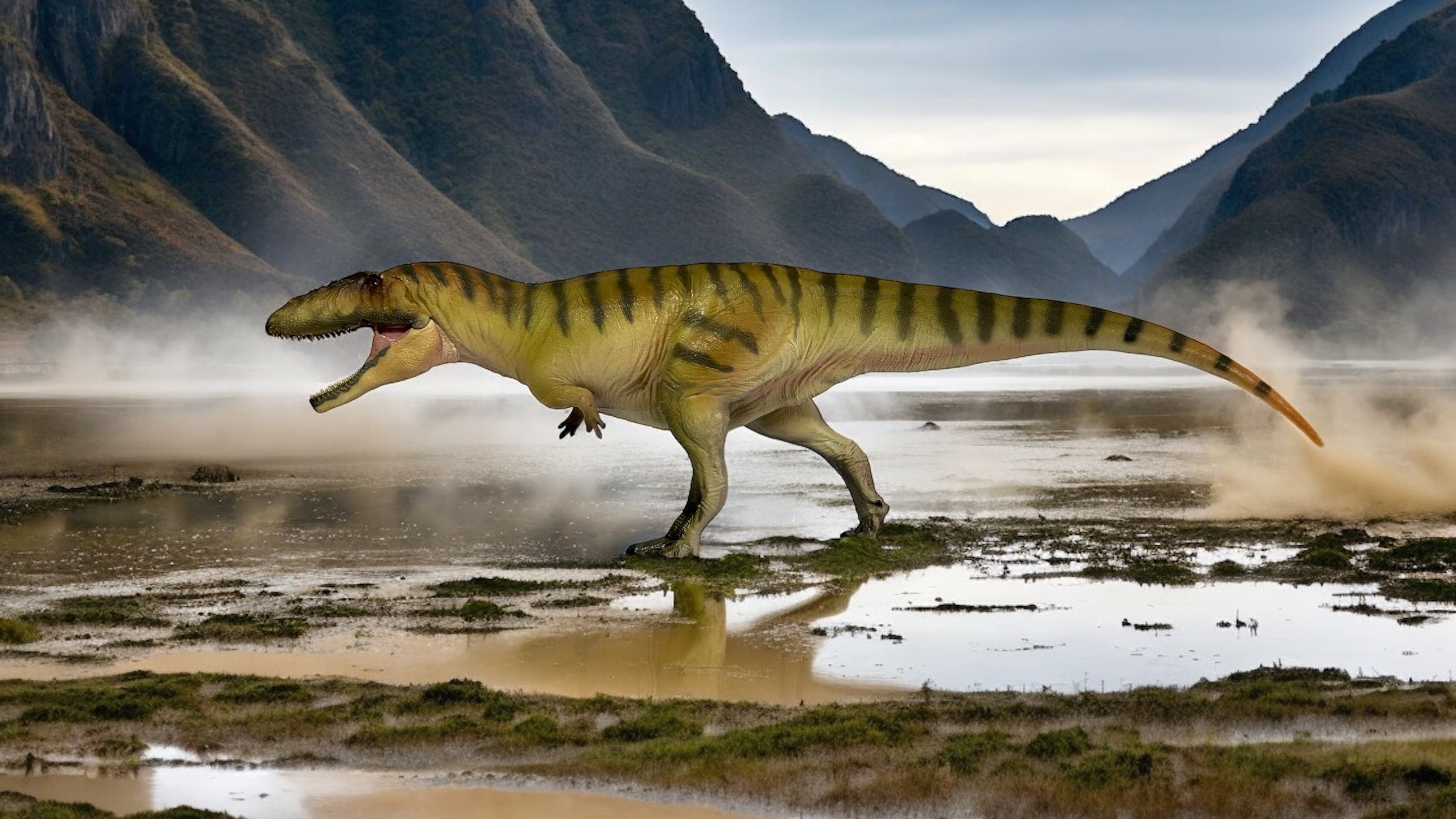 Carcharodontosaurus Figure by PNSO.