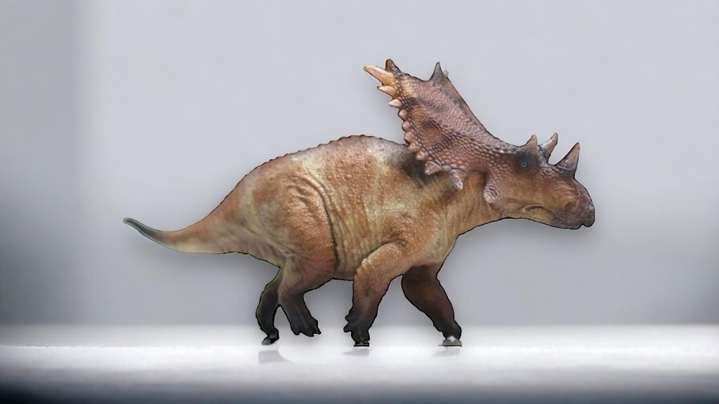 Chasmosaurus Figure by Haolonggood.