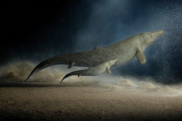 Dorudon: The Ancient Predator of Prehistoric Oceans 🌊🐋 Dorudon Figure.