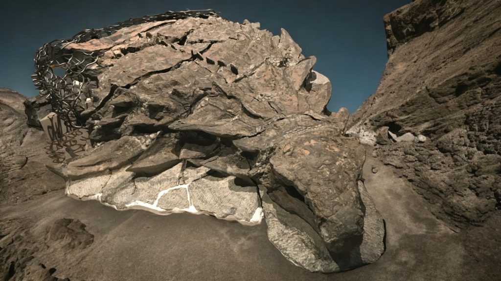 Borealopelta fossil.