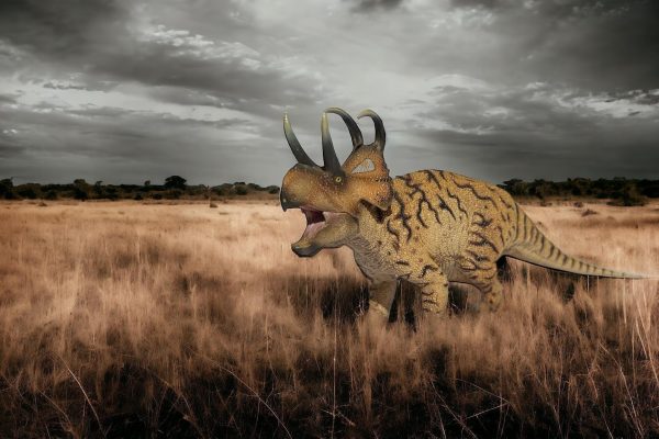 Machairoceratops Figure by PNSO.