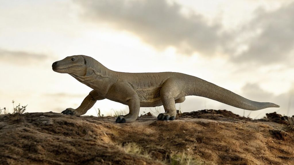 Comodo Dragon by Schleich.