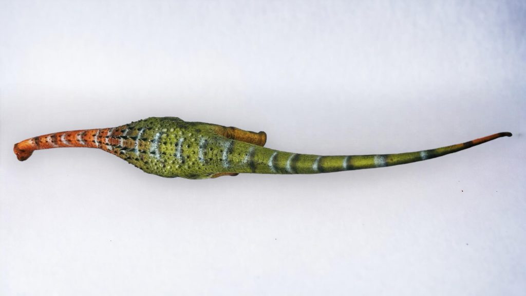 Ampelosaurus Figure by Haolonggood.