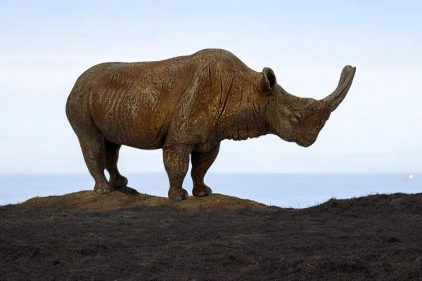 Embolotherium: The Prehistoric Rhino with a Giant Horn 🦏 Embolotherium Figure.
