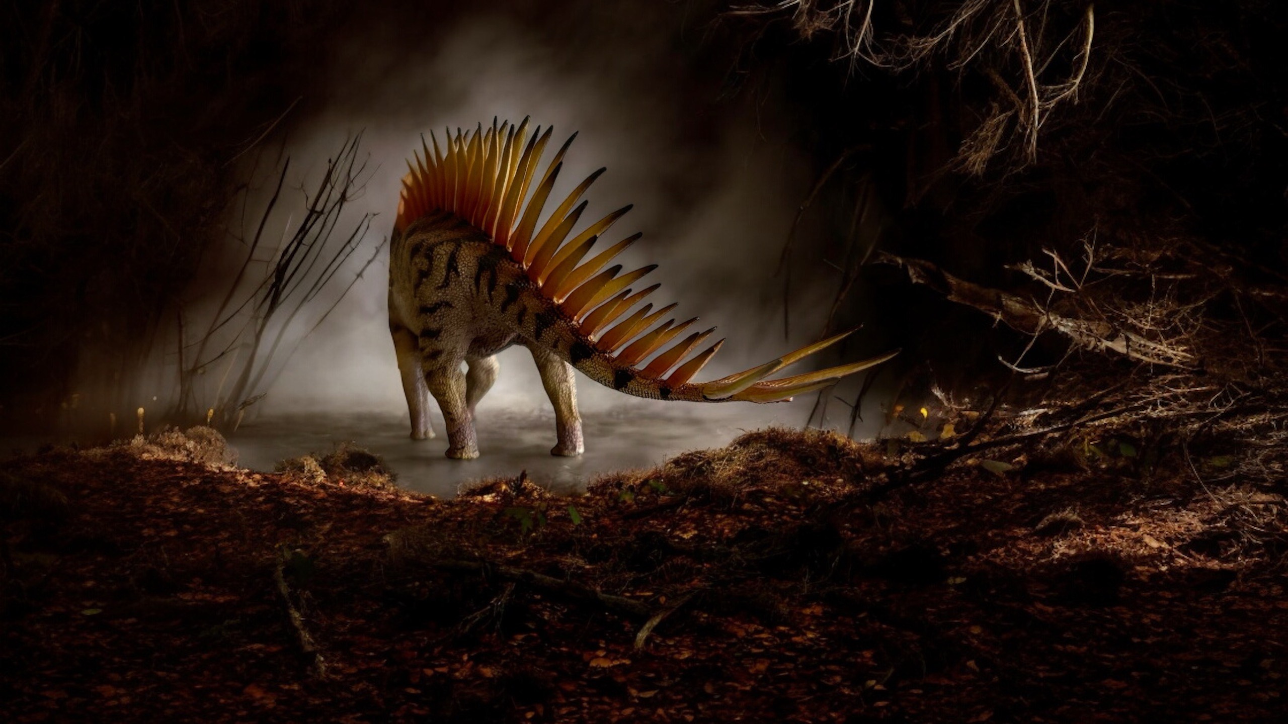 Miragaia Figure by PNSO.