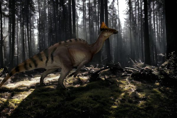 Olorotitan Figure by PNSO.