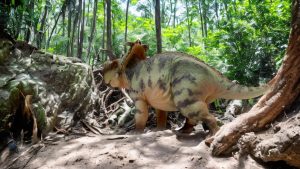 Pachyrhinosaurus Figure by Haolonggod.