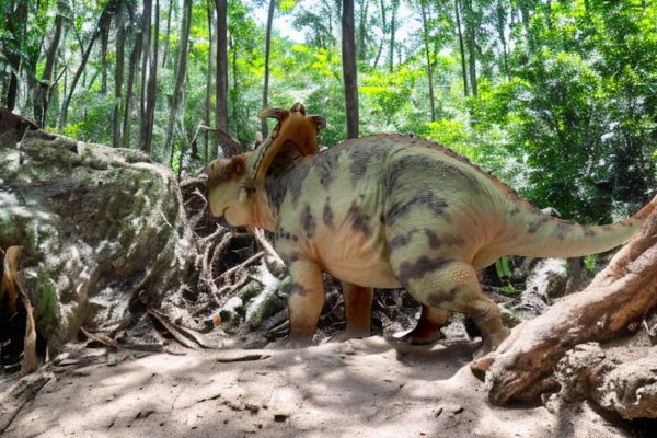 Pachyrhinosaurus Figure by Haolonggod.