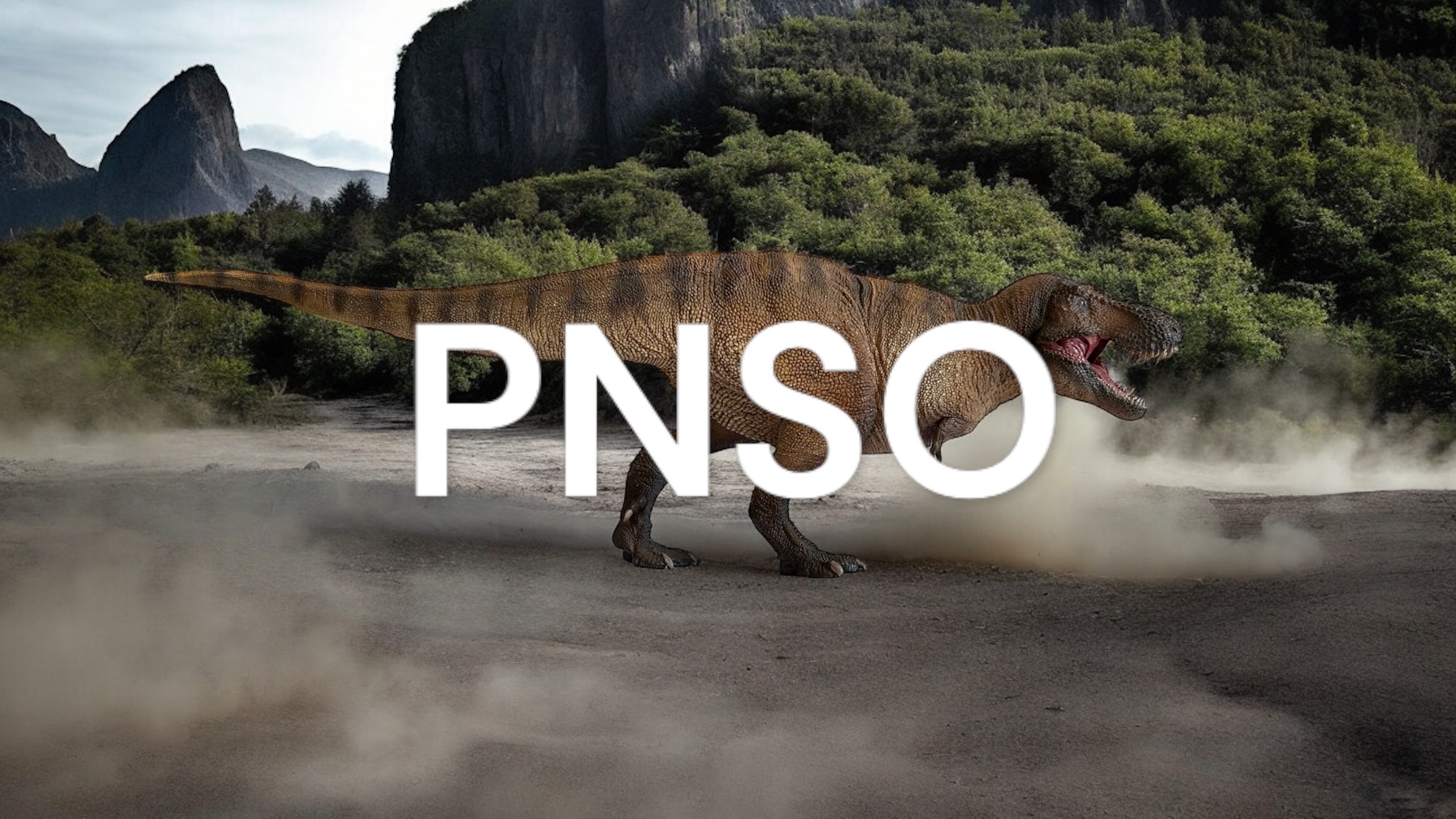 PNSO Figures.