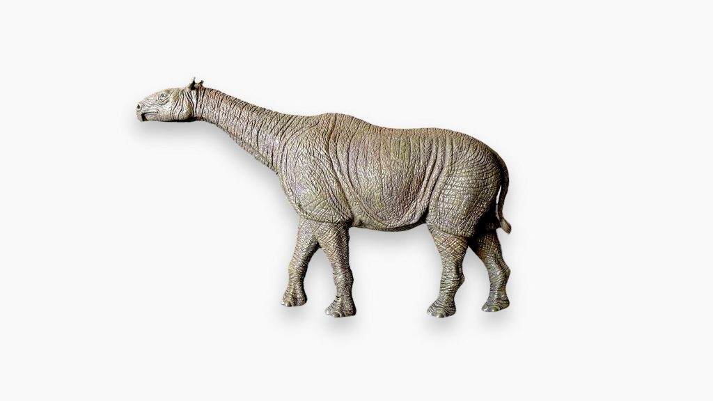 Paraceratherium Figure by IToy.
