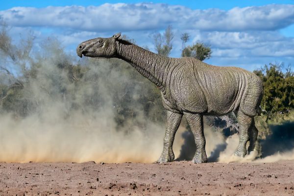 Paraceratherium Figure by IToy.