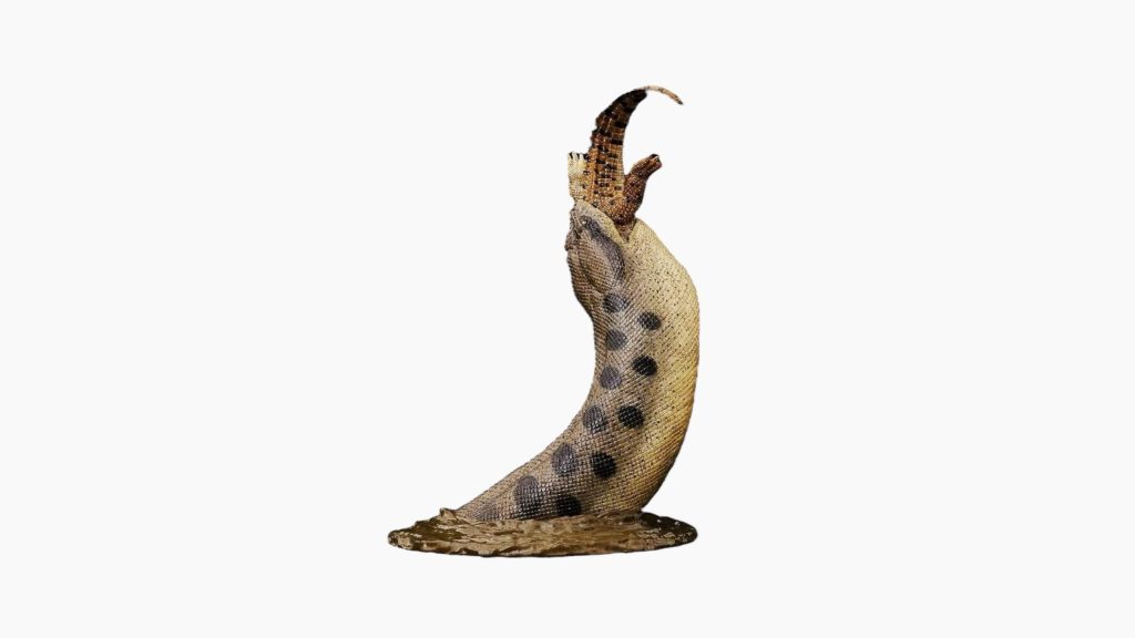 Titanoboa Figure by Rebor.