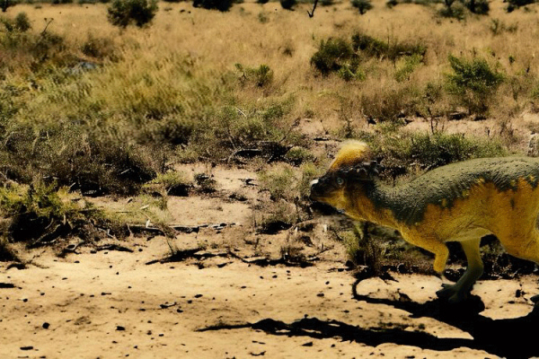 Pachycephalosaurus Figure by PNSO.