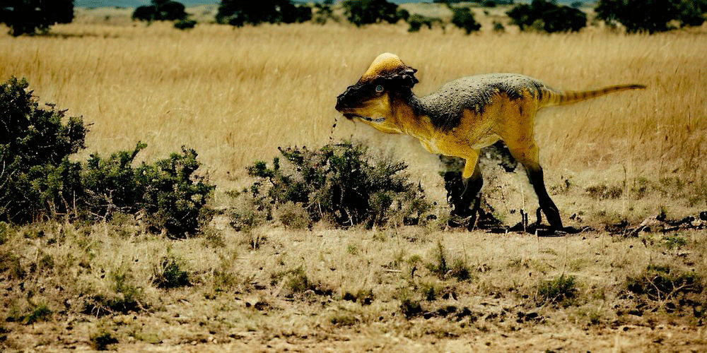 Pachycephalosaurus Figure by PNSO.