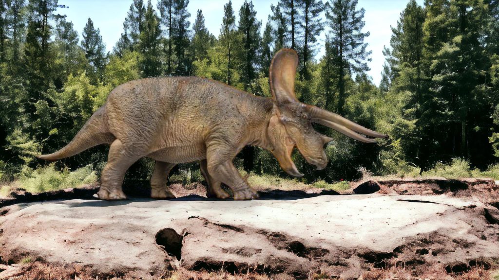 Triceratops Figure by PNSO.