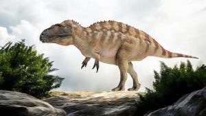 Acrocanthosaurus Figure by PNSO.