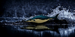 Ophthalmosaurus Figure by PNSO.